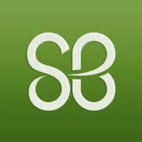 St. Baldrick's Foundation